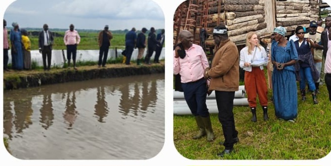 UNDP & Green Climate Fund Delegation Hails Pallisa as Model for Wetland Restoration