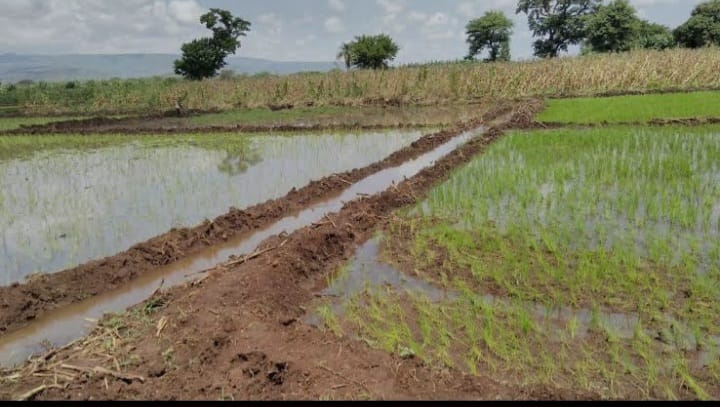 Kamutur Sub County Flooded by Irrigation Water as Residents Appeal for Government Intervention